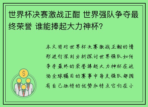 世界杯决赛激战正酣 世界强队争夺最终荣誉 谁能捧起大力神杯？